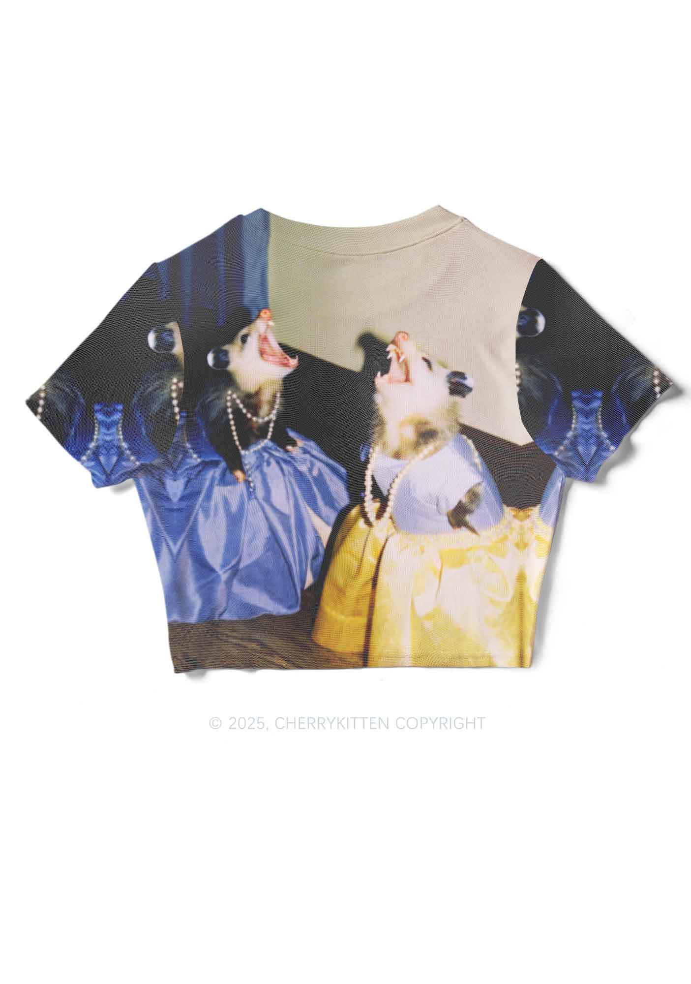 Princess Rats Y2K Mesh Crop Top Cherrykitten