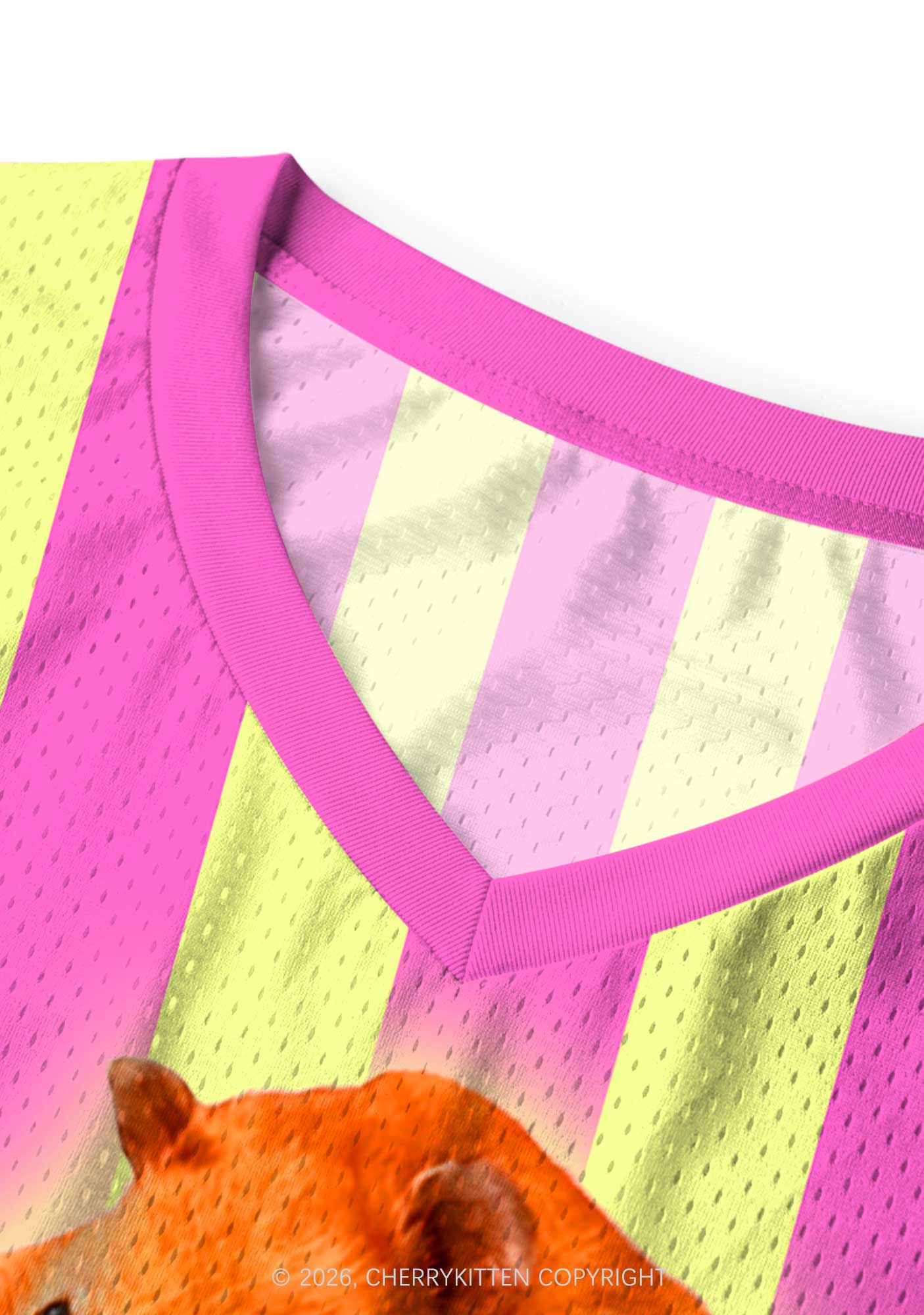 Lez Pink Ratz Pride Y2K Sport Jersey Tank Cherrykitten
