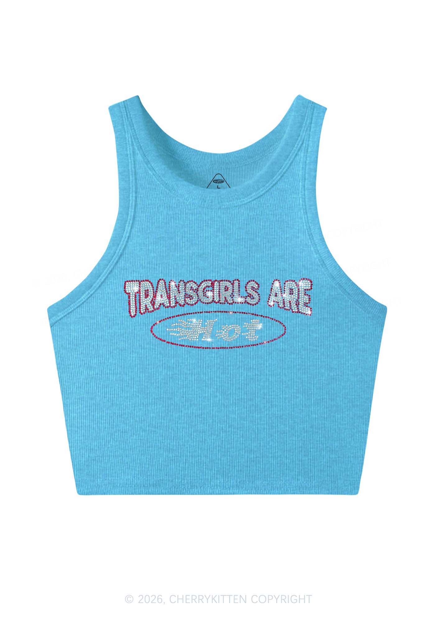 Rhinestone Transgirls Are Hot Pride Y2K Crop Tank Top Cherrykitten