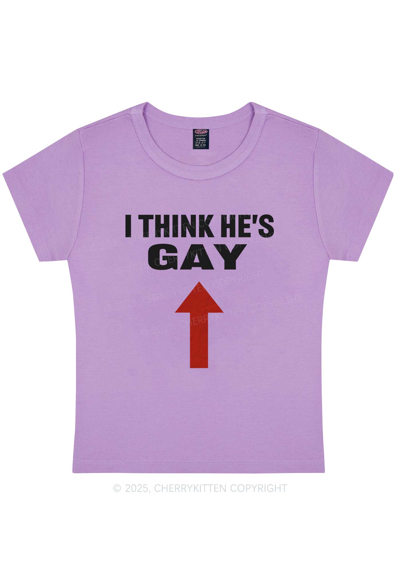 He Is Gay Y2K Baby Tee Cherrykitten
