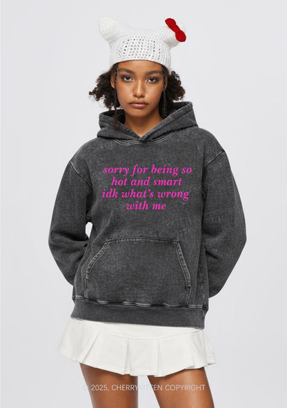 Sorry For Being So Smart Y2K Washed Hoodie Cherrykitten
