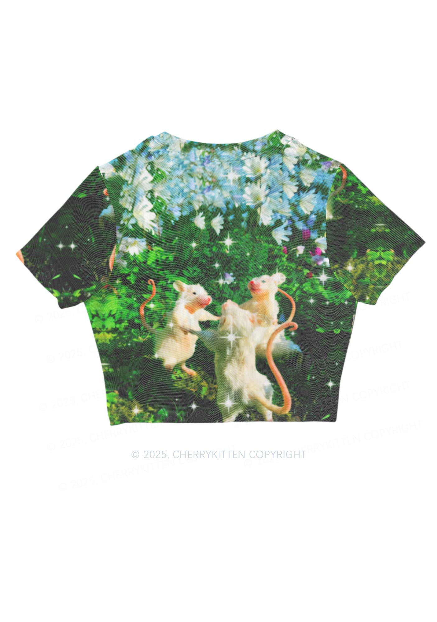 Dancing Rat Y2K Mesh Crop Top Cherrykitten Art by OhStuffinell Taxidermy
