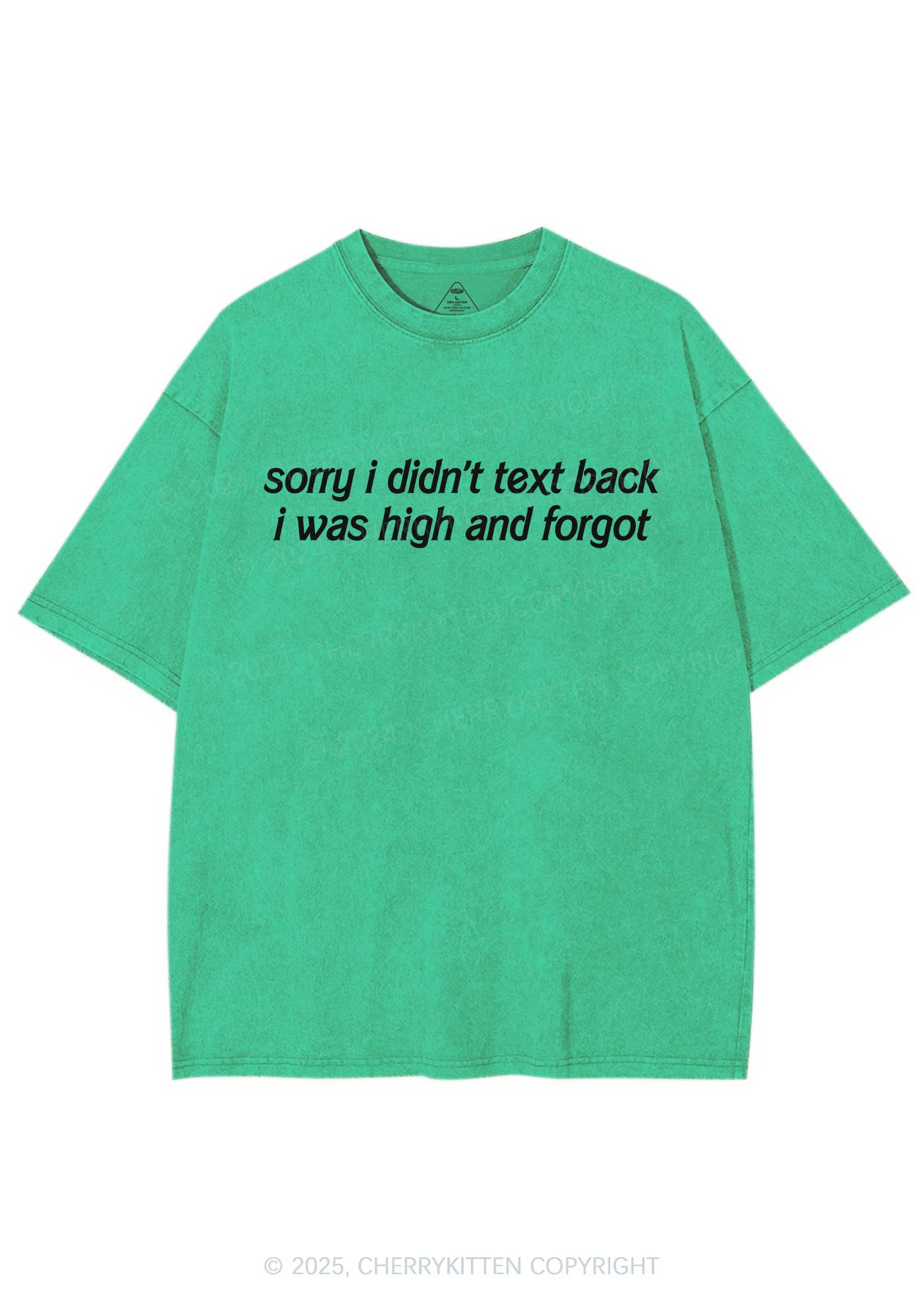 I Was High And Forgot Y2K Shirts Washed Tee Cherrykitten
