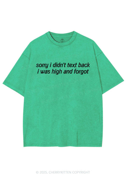 I Was High And Forgot Y2K Shirts Washed Tee Cherrykitten