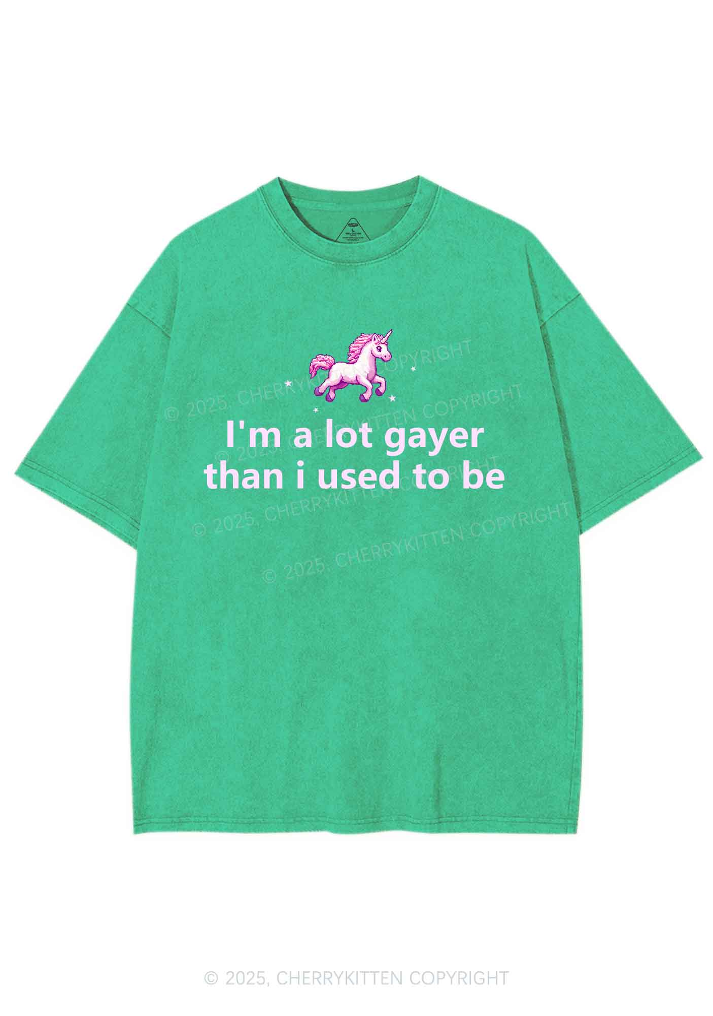 Im A Lot Gayer Pride Y2K Shirts Washed Tee Cherrykitten