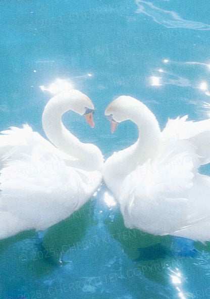 Swan Lovers Y2K Mesh Crop Top Cherrykitten