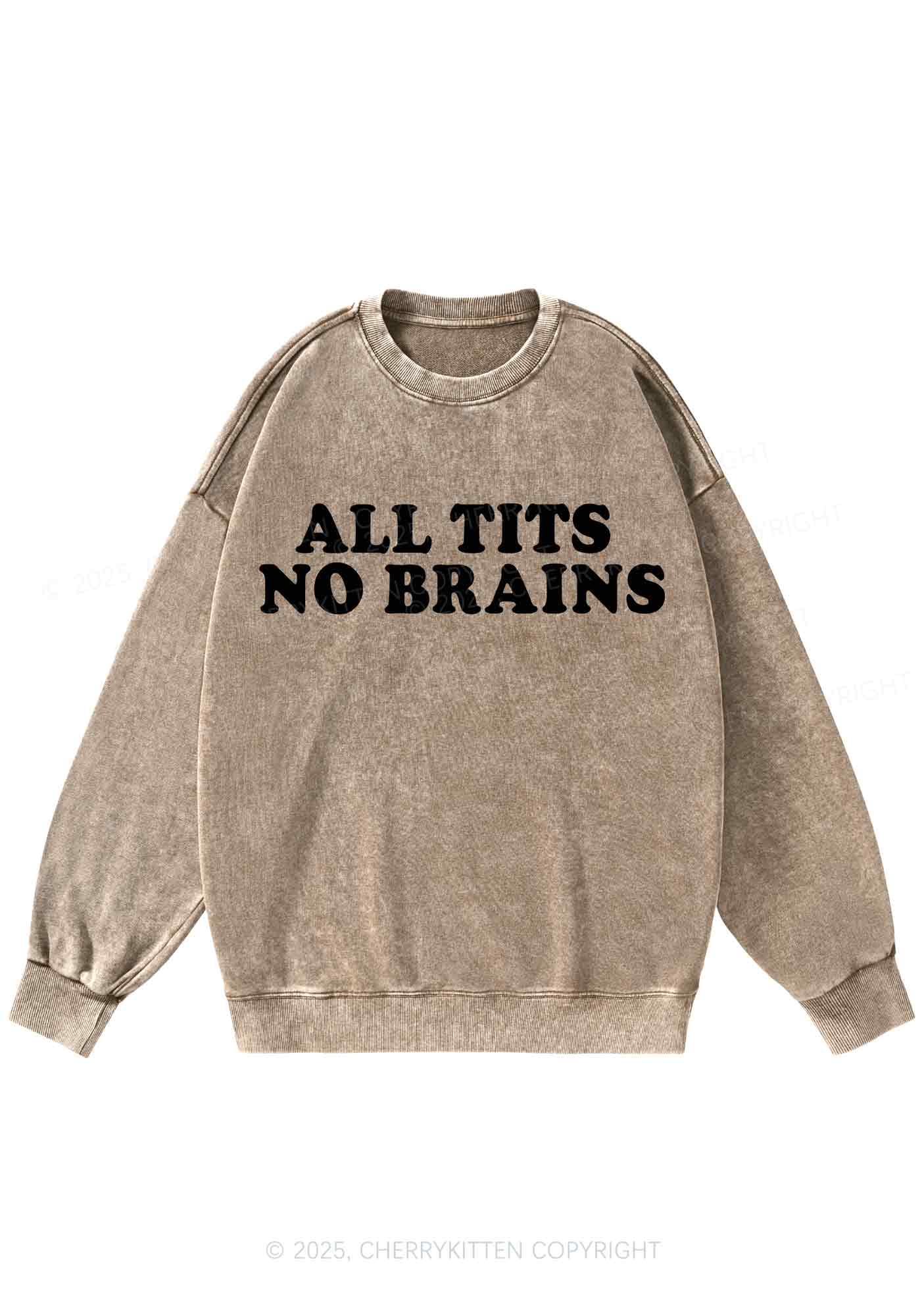 All Txts No Brains Y2K Washed Sweatshirts Cherrykitten