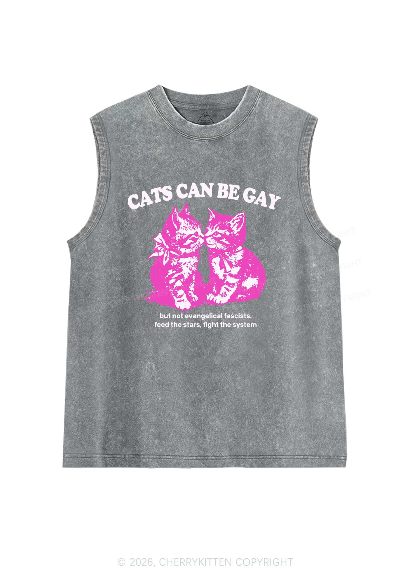 Cat Can Be Gay Pride Y2K Washed Muscle Tank Cherrykitten