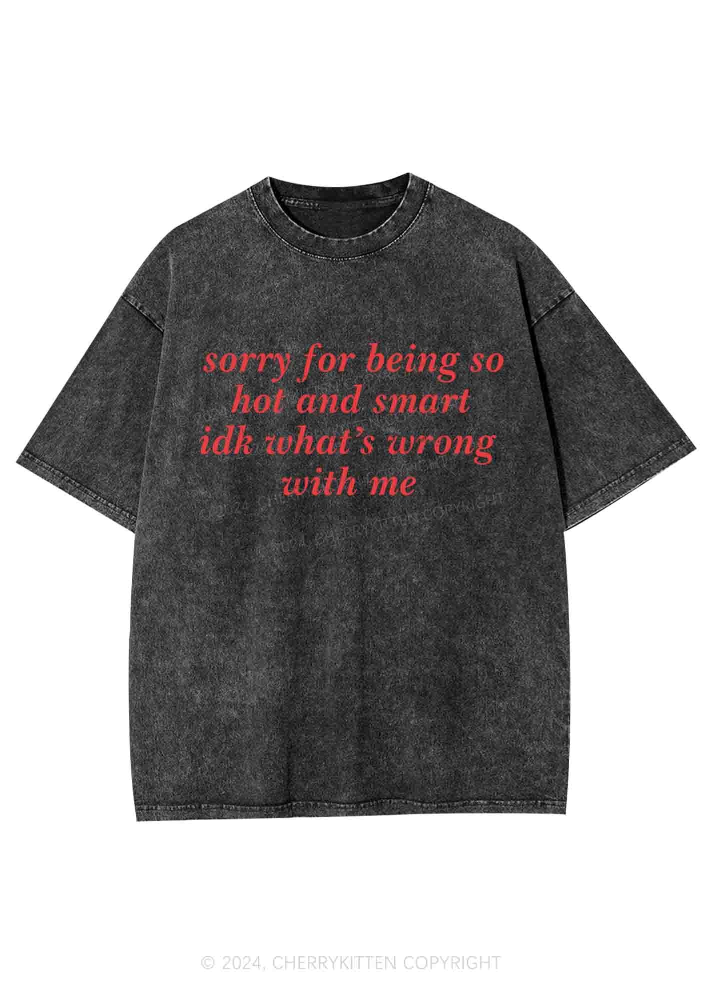 Sorry For Being So Smart Y2K Washed Tee Cherrykitten