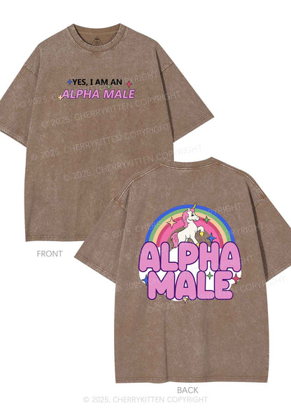 Alpha Male Two Sides Pride Y2K Shirts Washed Tee Cherrykitten