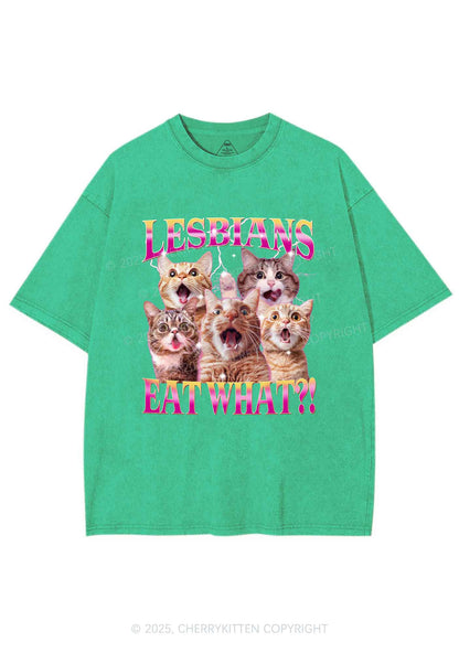 Funny Lesbian Cat Y2K Shirts Washed Tee Cherrykitten