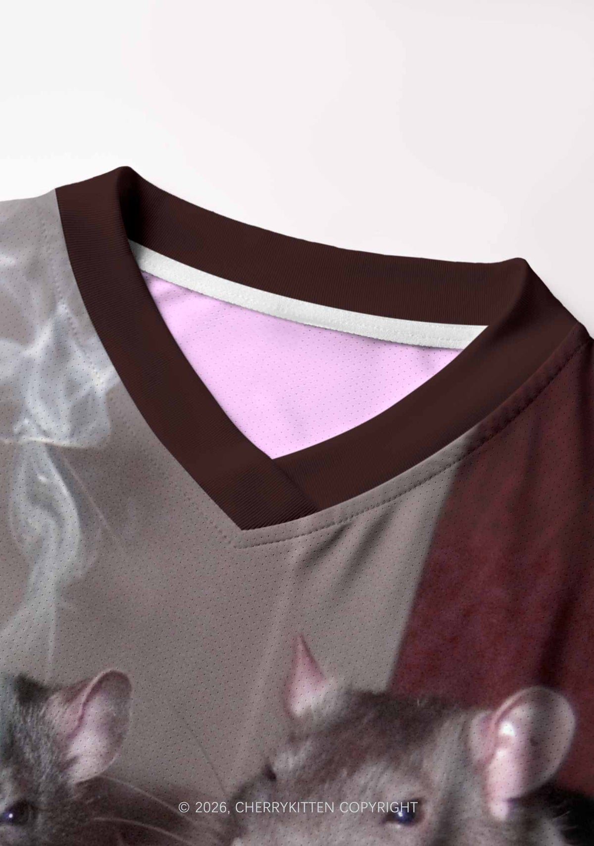 Smoking Rats Y2K Crop Football Jersey Shirts Cherrykitten