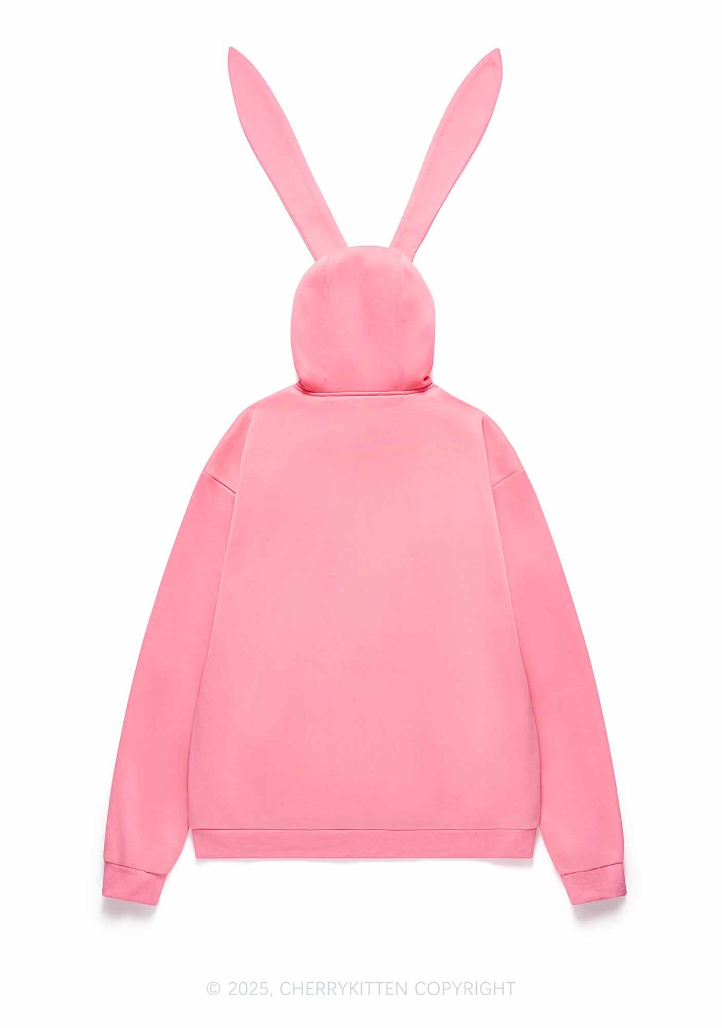 Plain Y2K Bunny Ear Zip Hoodie Cherrykitten
