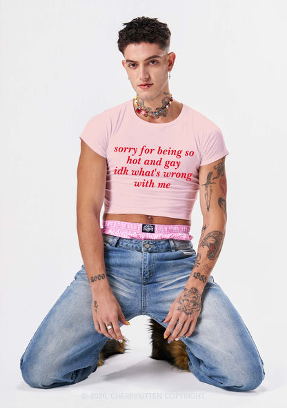Sorry For Being Gay Pride Y2K Baby Tee Cherrykitten