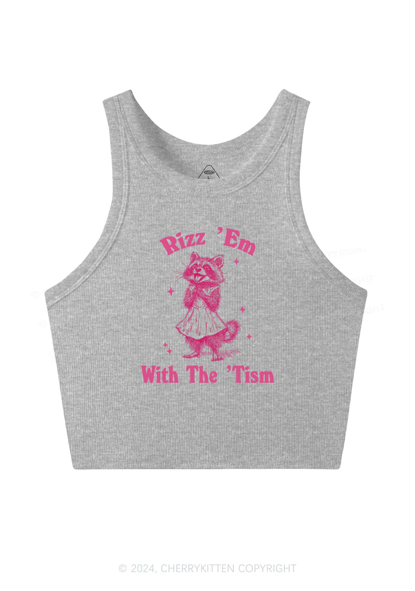Rizz Em With The Tism Y2K Crop Tank Top Cherrykitten