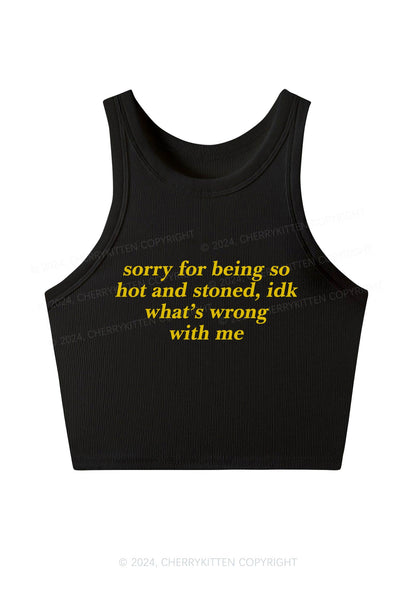 Sorry For Being Hot And Stoned Y2K Crop Tank Top Cherrykitten