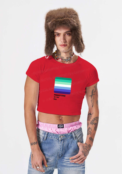 Pridetone Gay Pride Y2K Baby Tee Cherrykitten