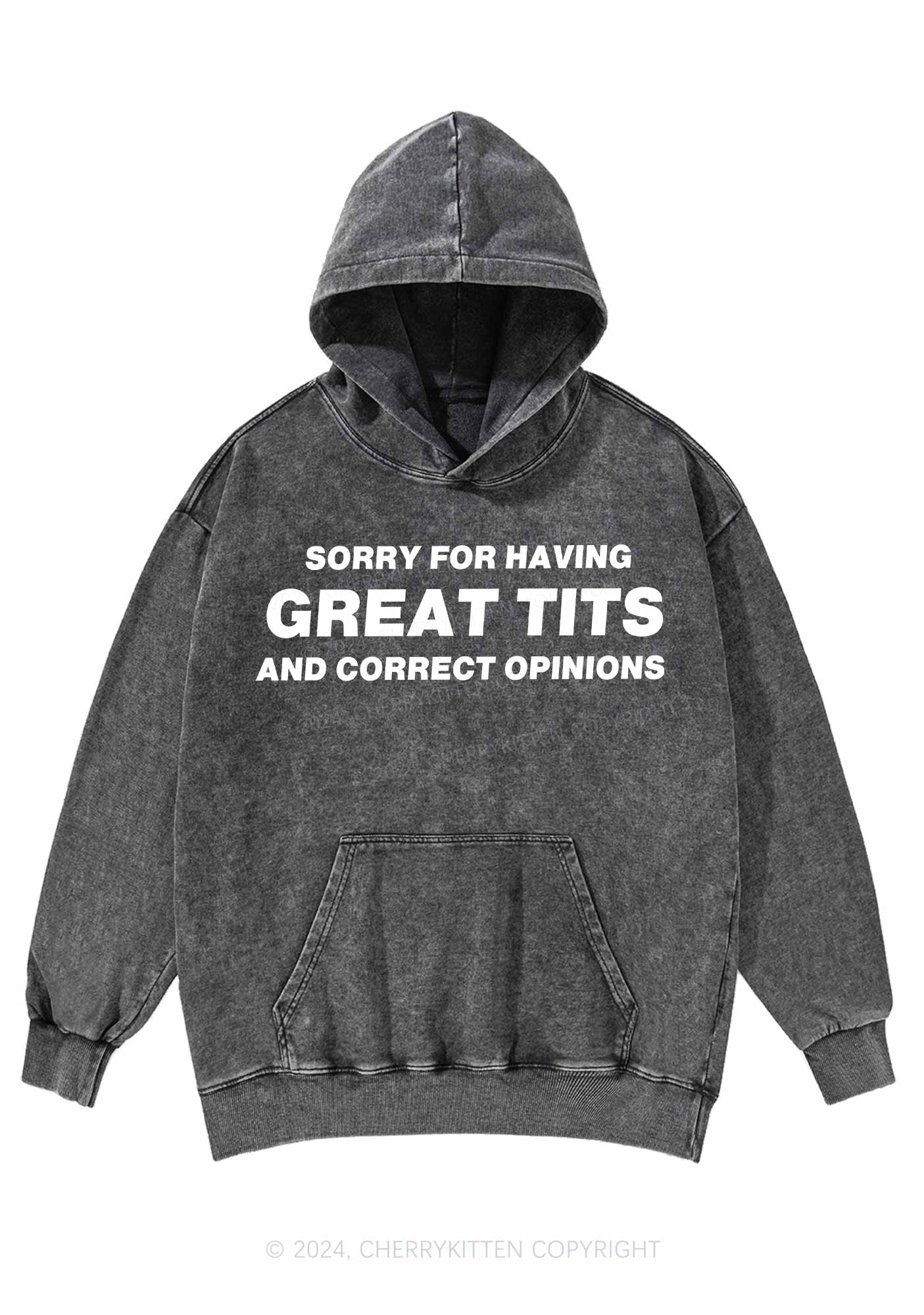 Sorry For Having Correct Opinions Y2K Washed Hoodie Cherrykitten