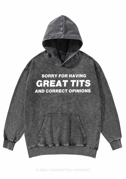 Sorry For Having Correct Opinions Y2K Washed Hoodie Cherrykitten