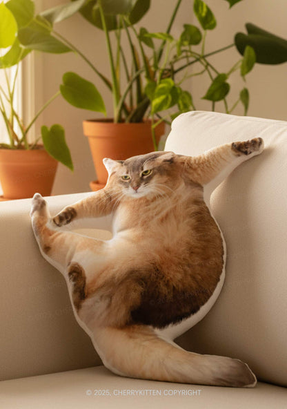 Custom Pet Pillows Y2K Ugly Pillow Cherrykitten