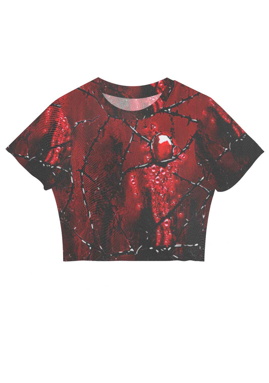Thorned Ruby Y2K Mesh Crop Top Cherrykitten