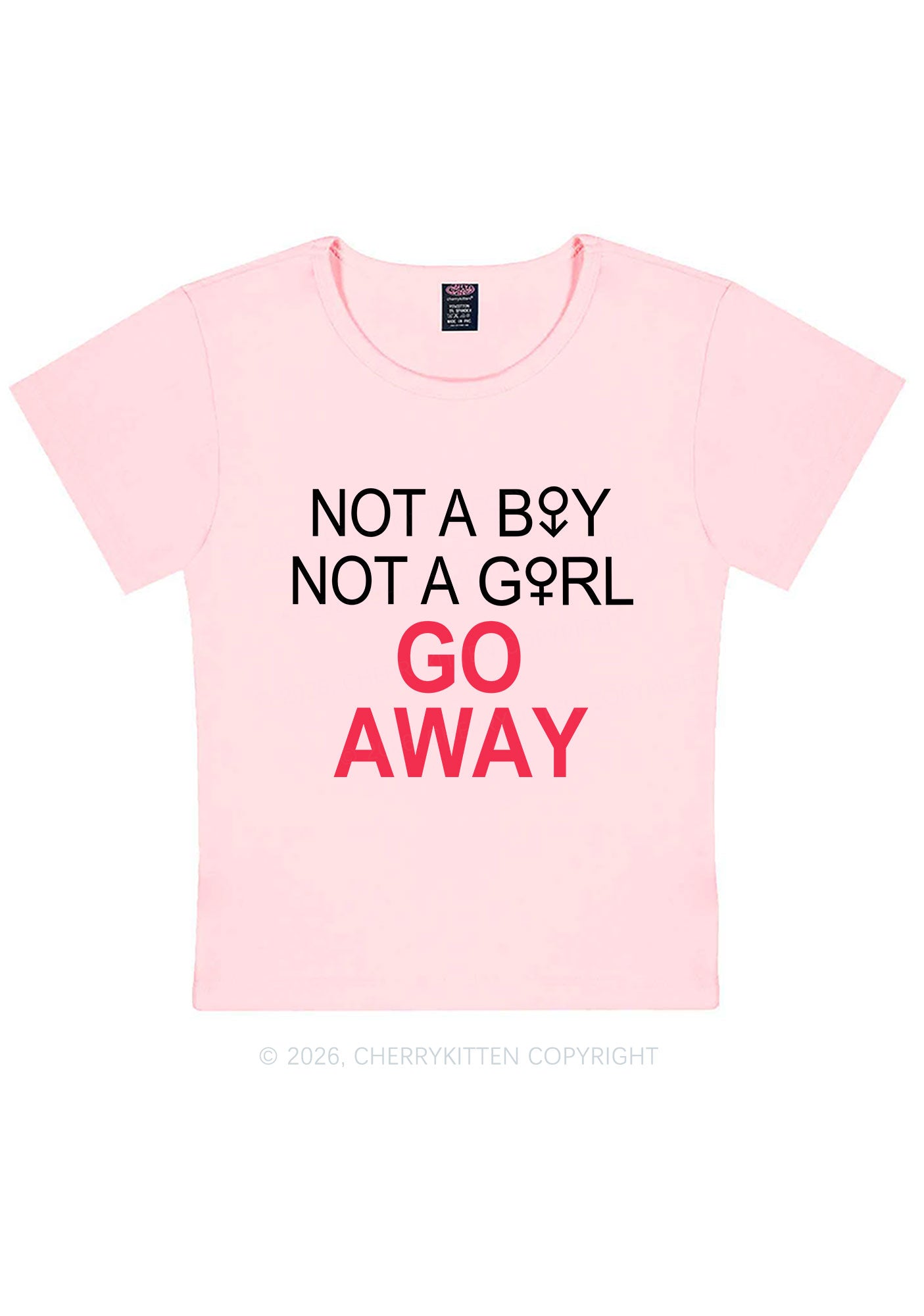 Go Away Pride Y2K Baby Tee Cherrykitten