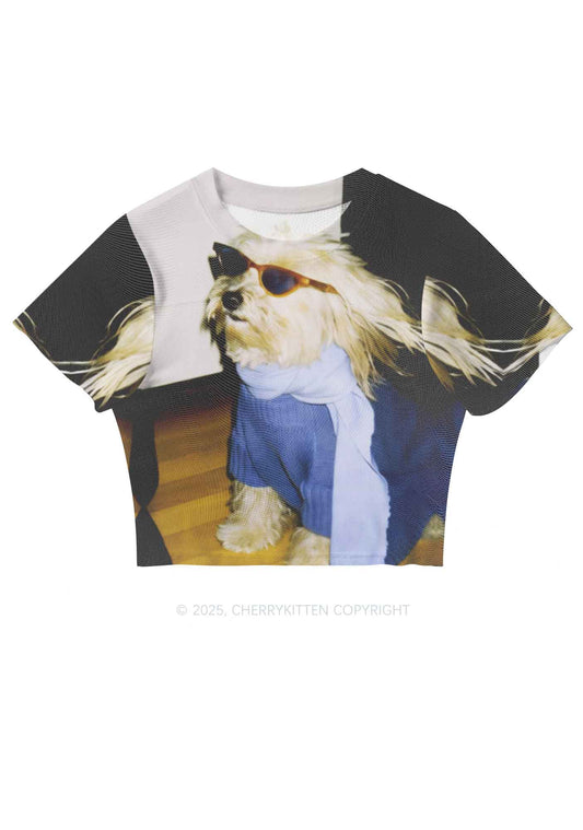 Sunglasses Puppy Y2K Mesh Crop Top Cherrykitten
