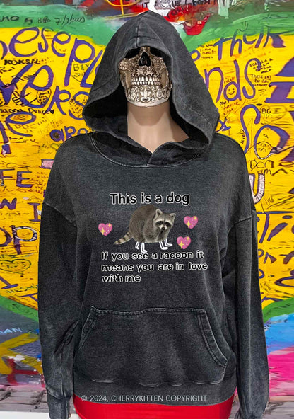 You Are In Love With Me Y2K Washed Hoodie Cherrykitten