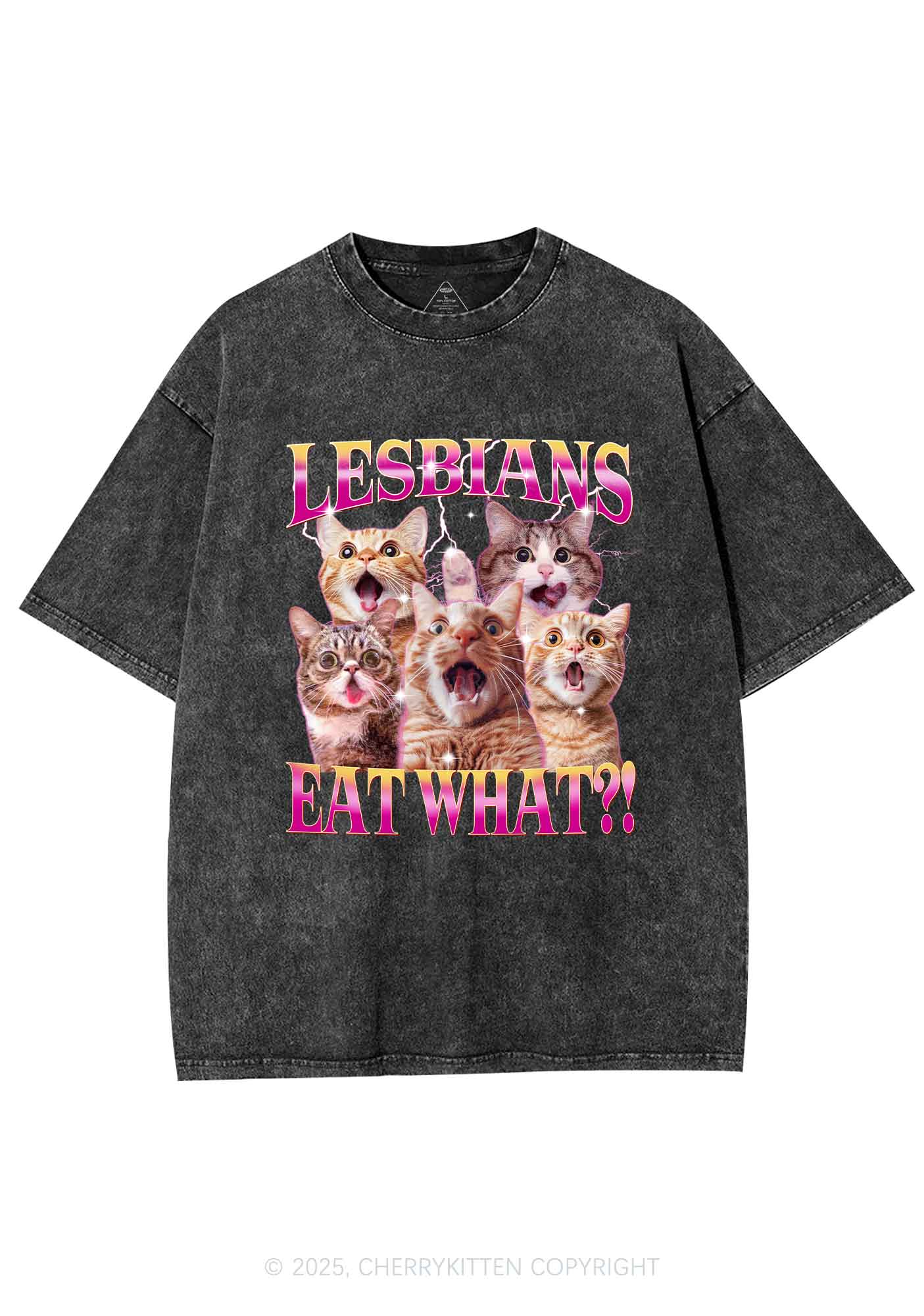 Funny Lesbian Cat Y2K Shirts Washed Tee Cherrykitten