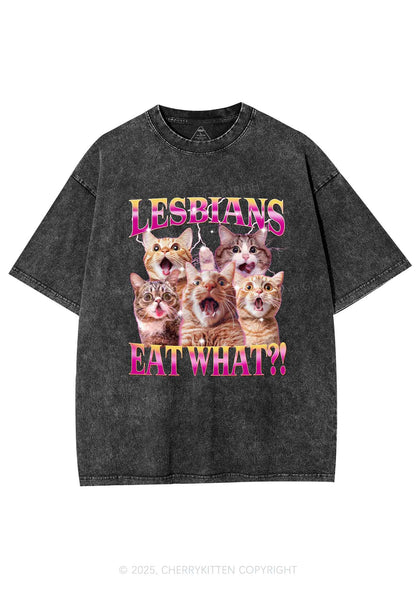 Funny Lesbian Cat Y2K Shirts Washed Tee Cherrykitten