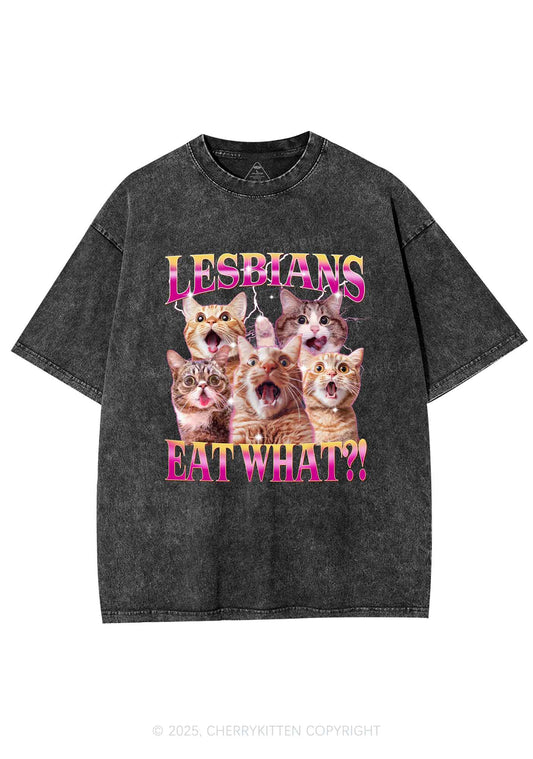 Funny Lesbian Cat Y2K Shirts Washed Tee Cherrykitten