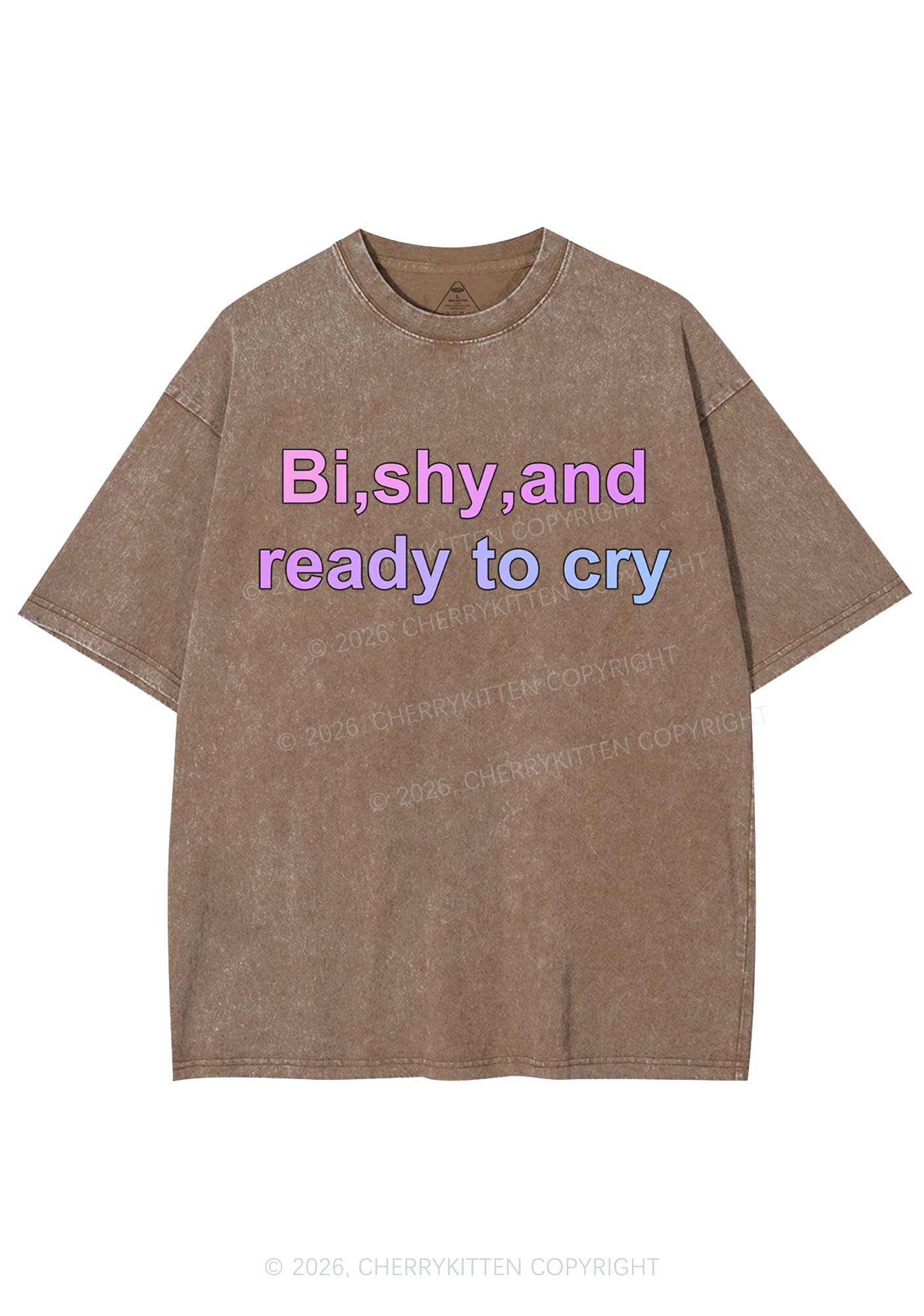 Bi Shy And Ready To Cry Pride Y2K Shirts Washed Tee Cherrykitten