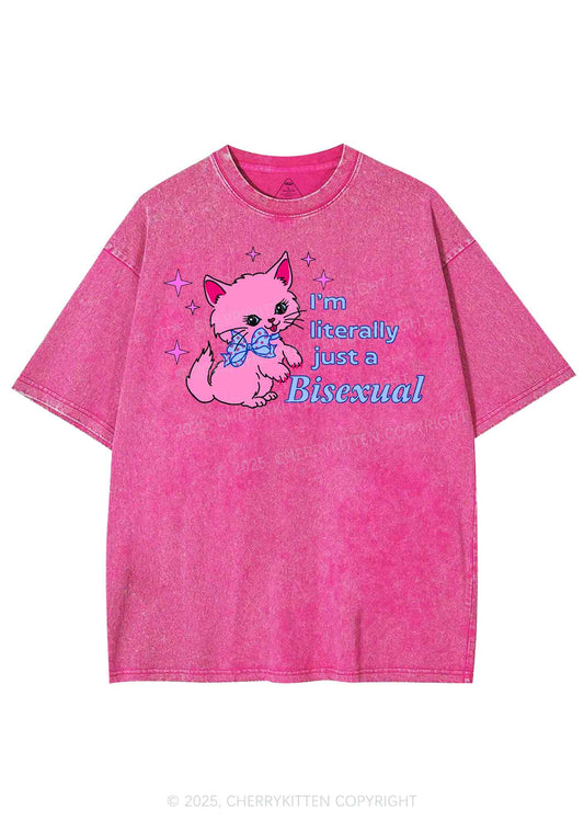 Literally Just A Bisexual Pride Y2K Shirts Washed Tee Cherrykitten
