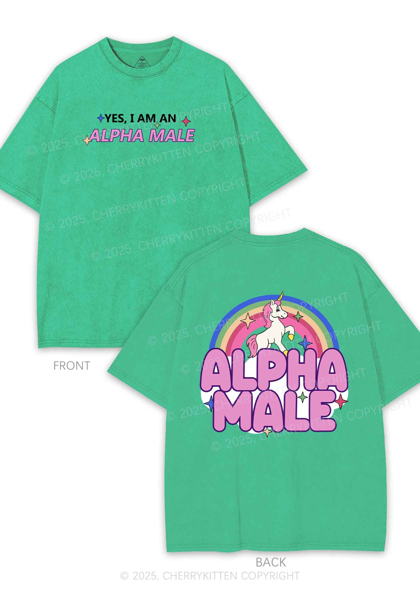 Alpha Male Two Sides Pride Y2K Shirts Washed Tee Cherrykitten