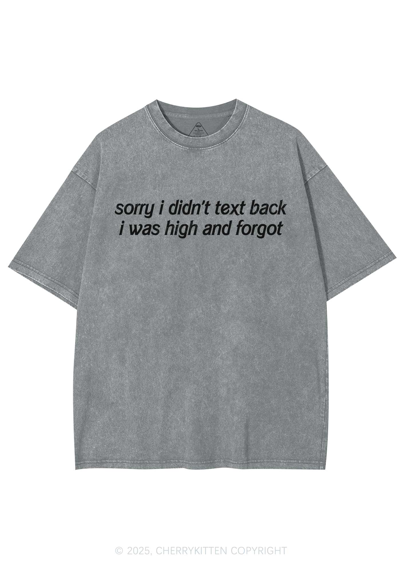 I Was High And Forgot Y2K Shirts Washed Tee Cherrykitten
