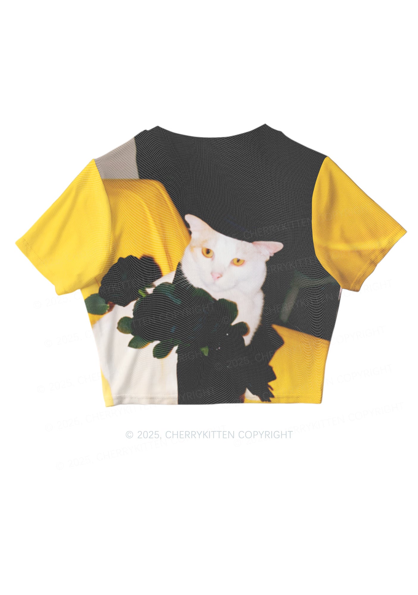 Cat With Black Roses Y2K Mesh Crop Top Cherrykitten