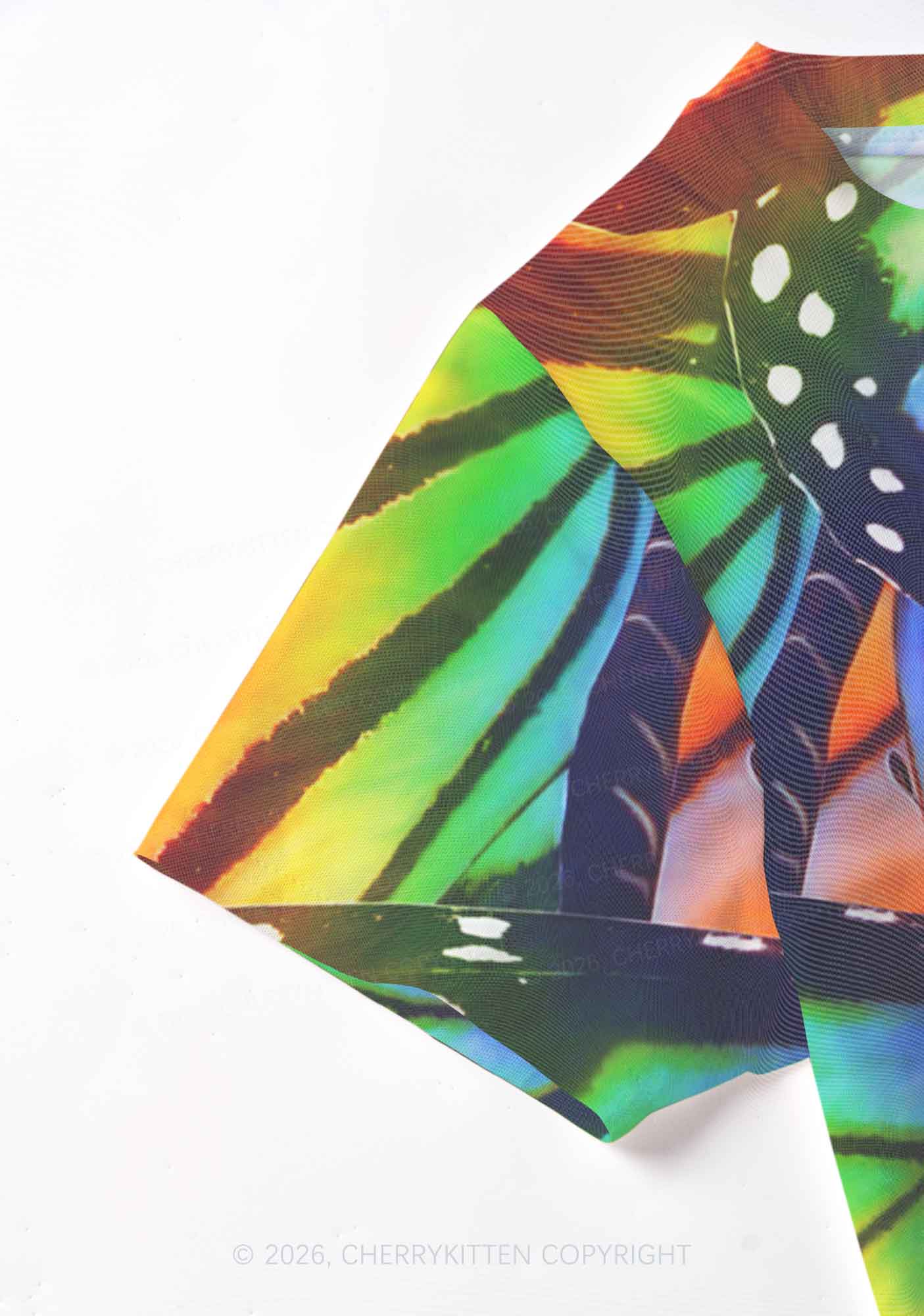 Rainbow Butterfly Y2K Mesh Crop Top Cherrykitten