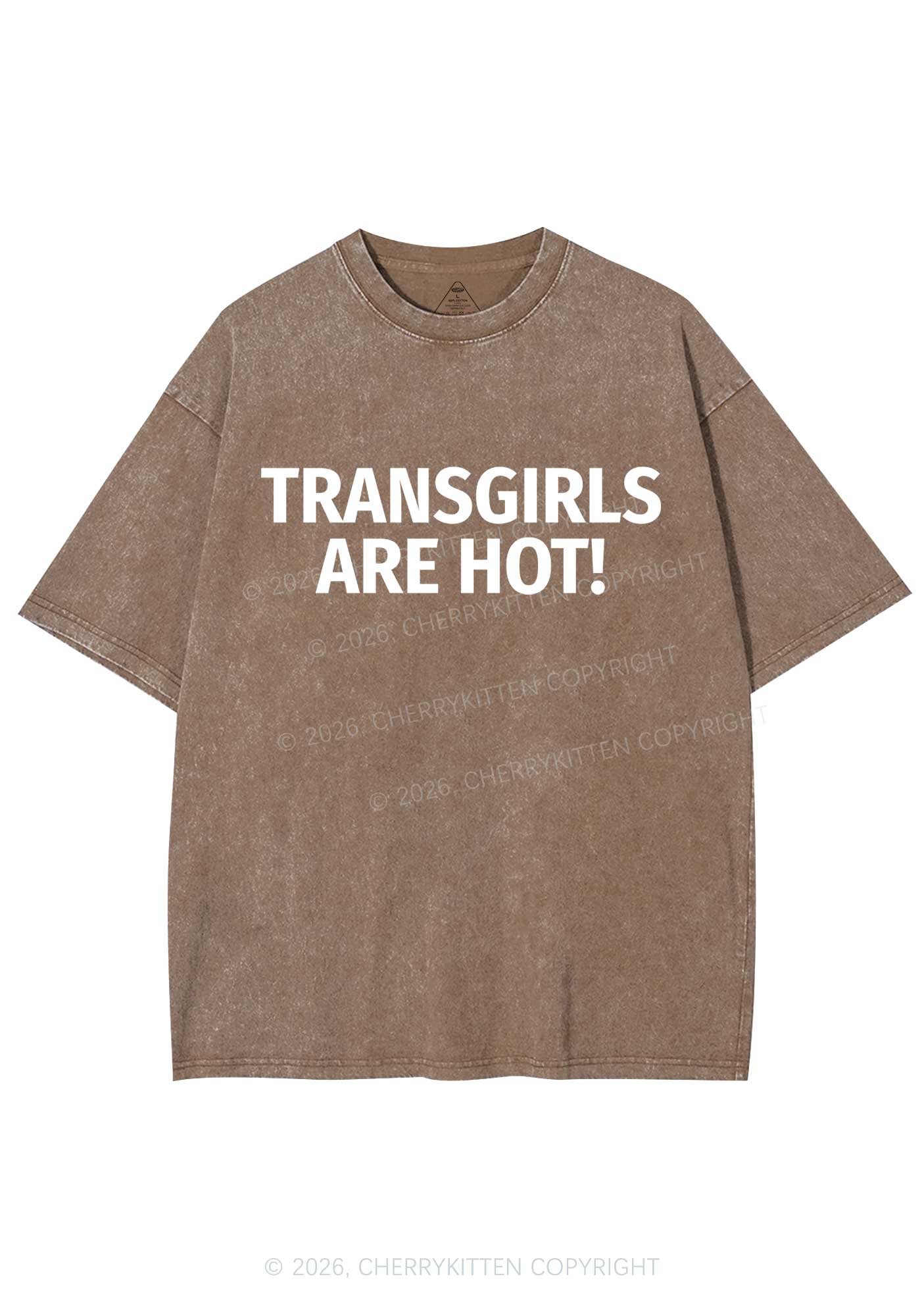 Transgirls Are Hot Pride Y2K Shirts Washed Tee Cherrykitten