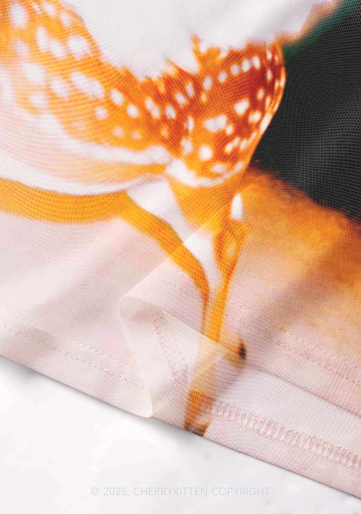 Deer Wings Y2K Mesh Long Sleeve Crop Top Cherrykitten
