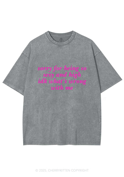 Sorry For Being So High Y2K Shirts Washed Tee Cherrykitten