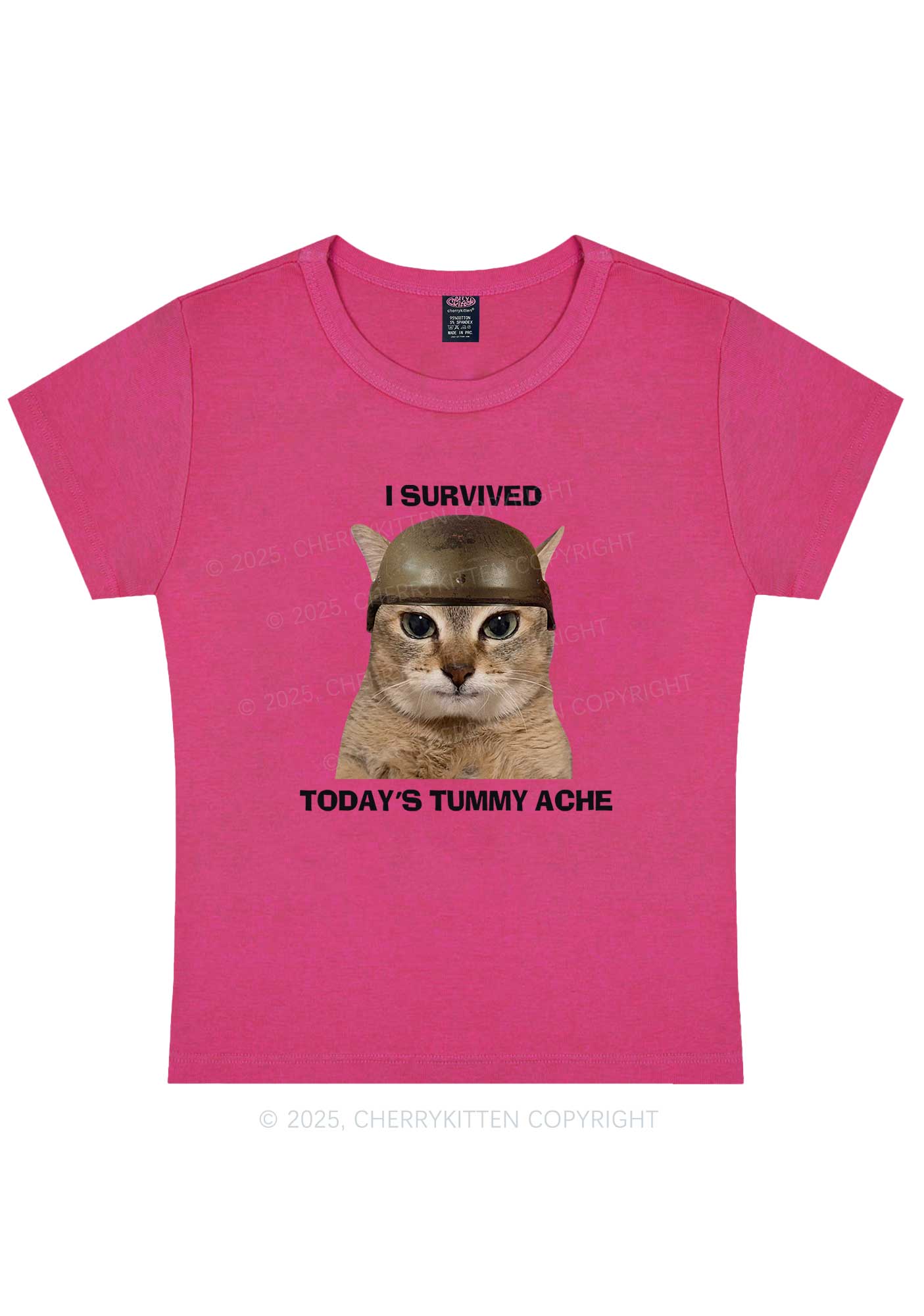 Surived Todays Tummy Ache Y2K Baby Tee Cherrykitten
