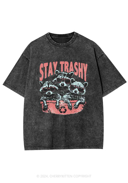 Stay Trashy Raccoons Y2K Washed Tee Cherrykitten