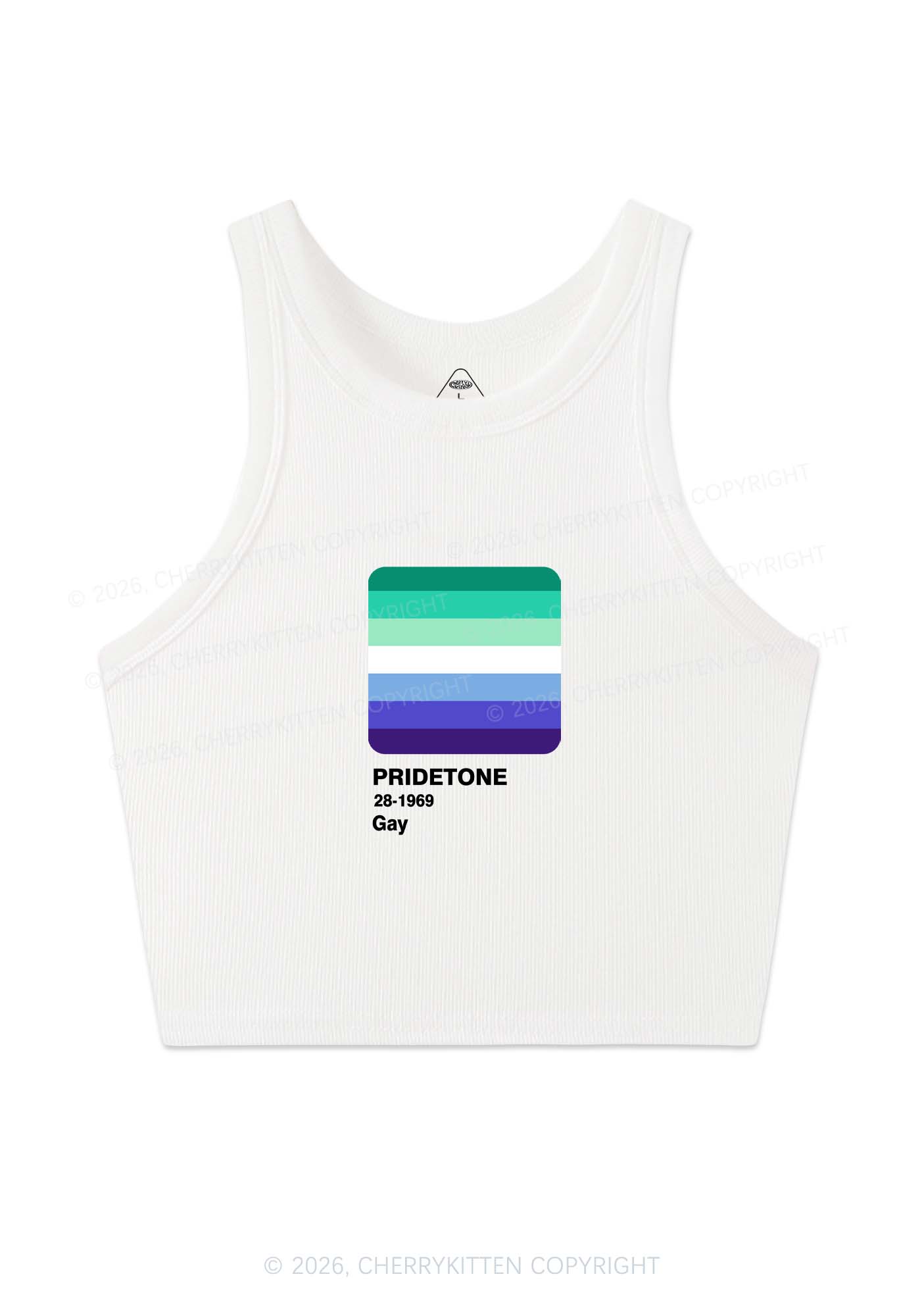 Pridetone Gay Pride Y2K Crop Tank Top Cherrykitten