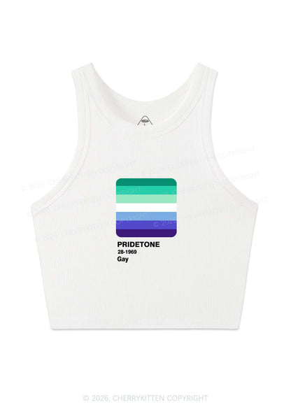 Pridetone Gay Pride Y2K Crop Tank Top Cherrykitten