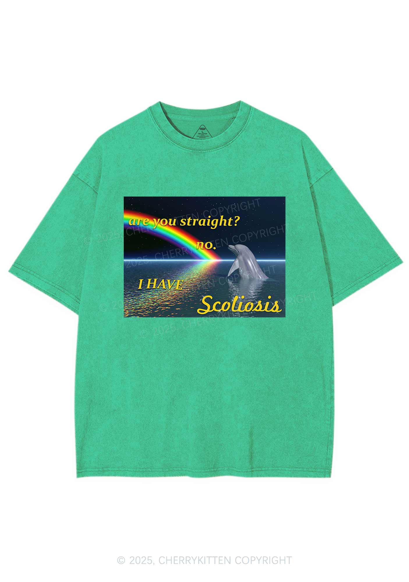 I Have Scoliosis Pride Y2K Shirts Washed Tee Cherrykitten