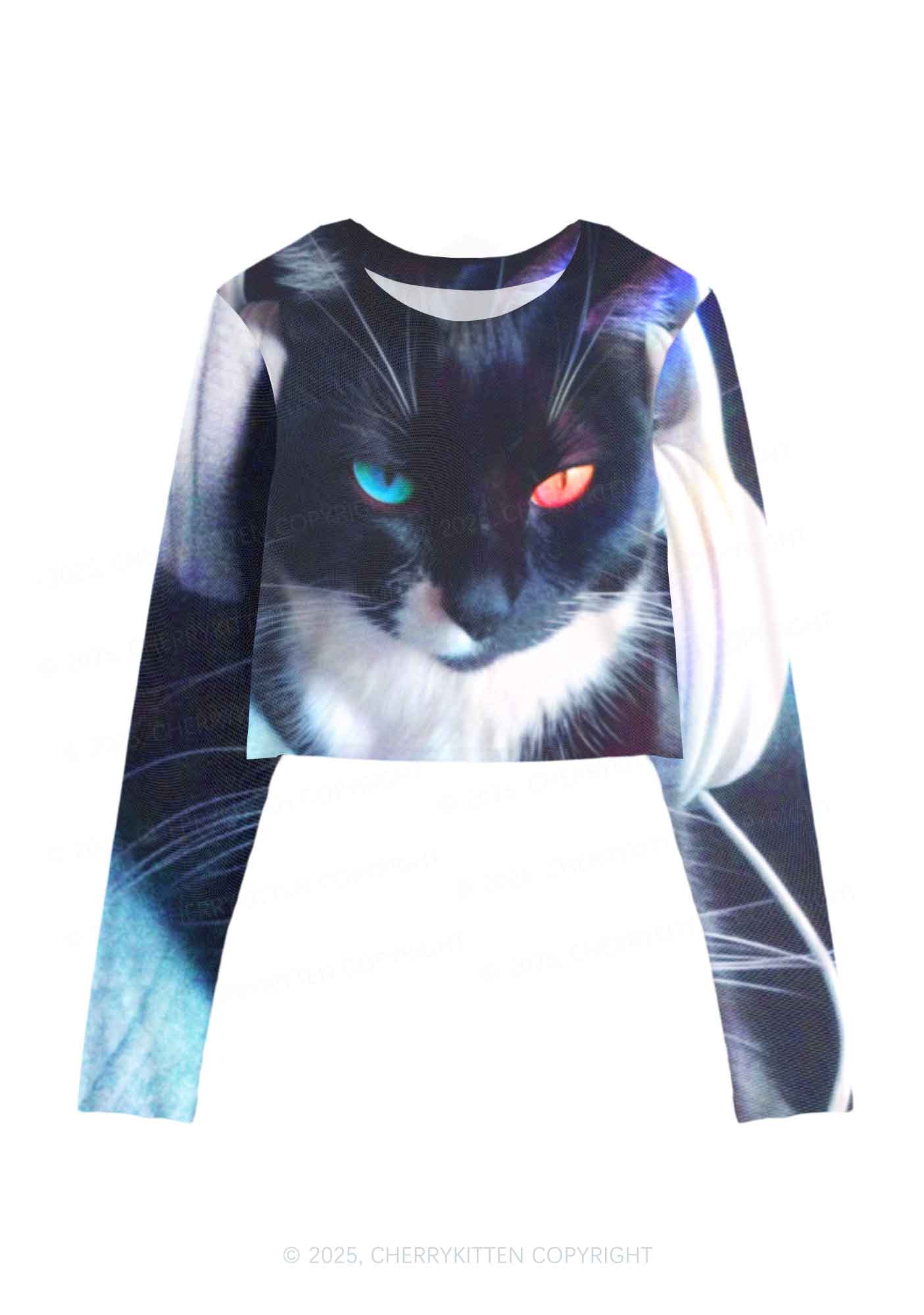 Odd Eyed Cat Y2K Mesh Long Sleeve Crop Top Cherrykitten