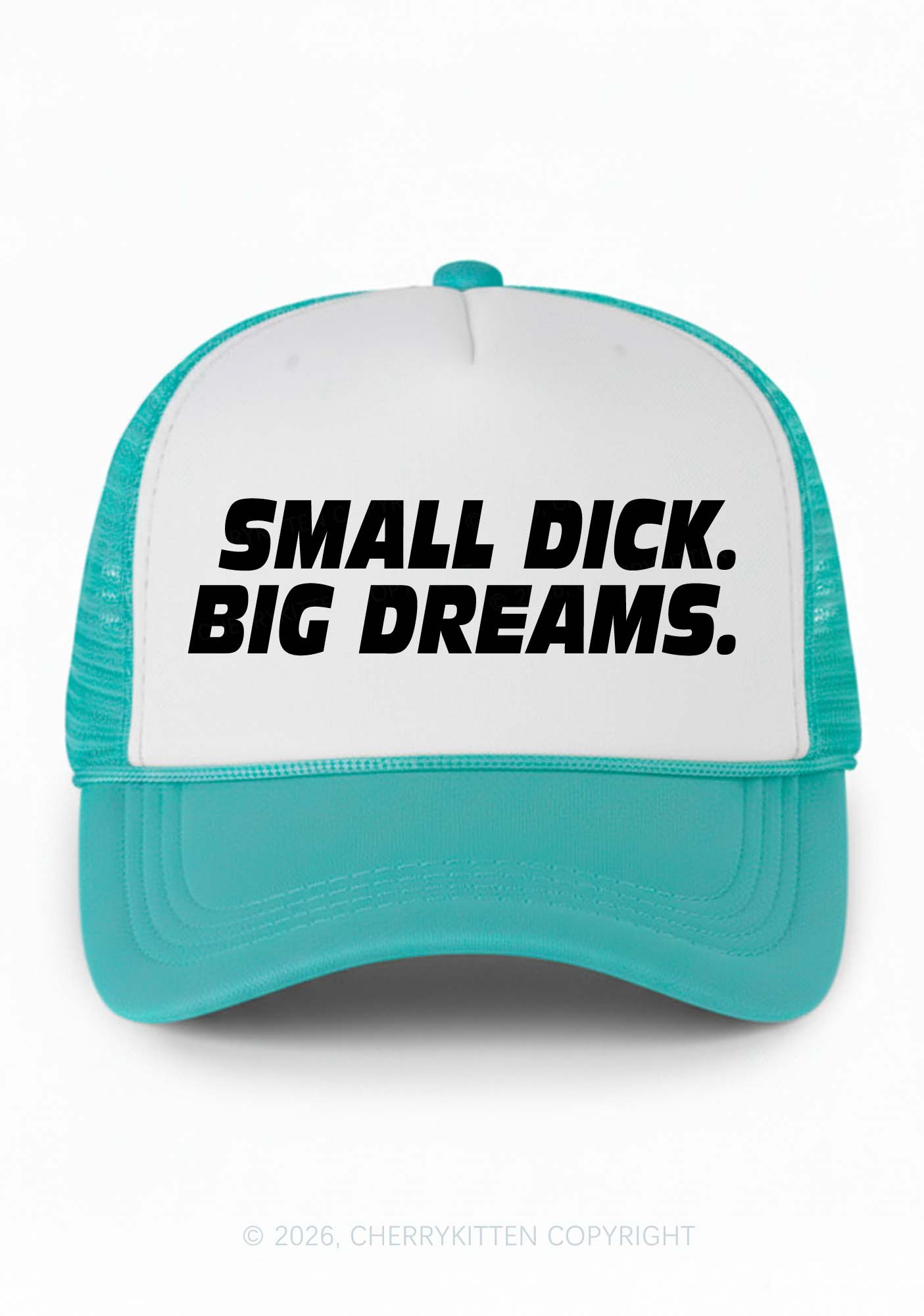 Small Dxxk Big Dreams Y2K Colorblock Trucker Hat Cherrykitten