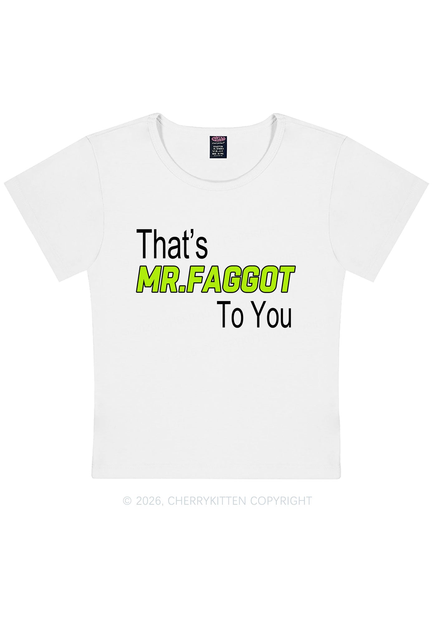 Thats Mr Faggot To You Pride Y2K Baby Tee Cherrykitten