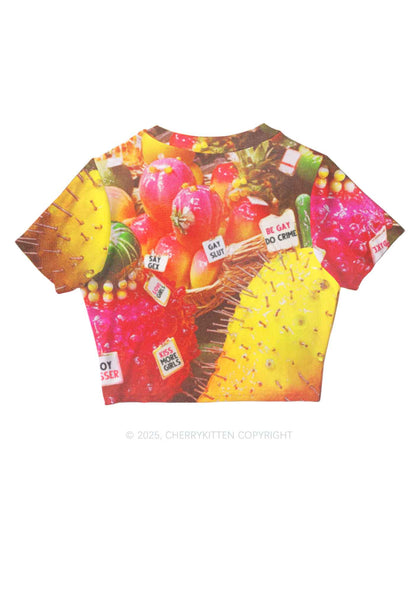 Various Fruits Pride Y2K Mesh Crop Top Cherrykitten
