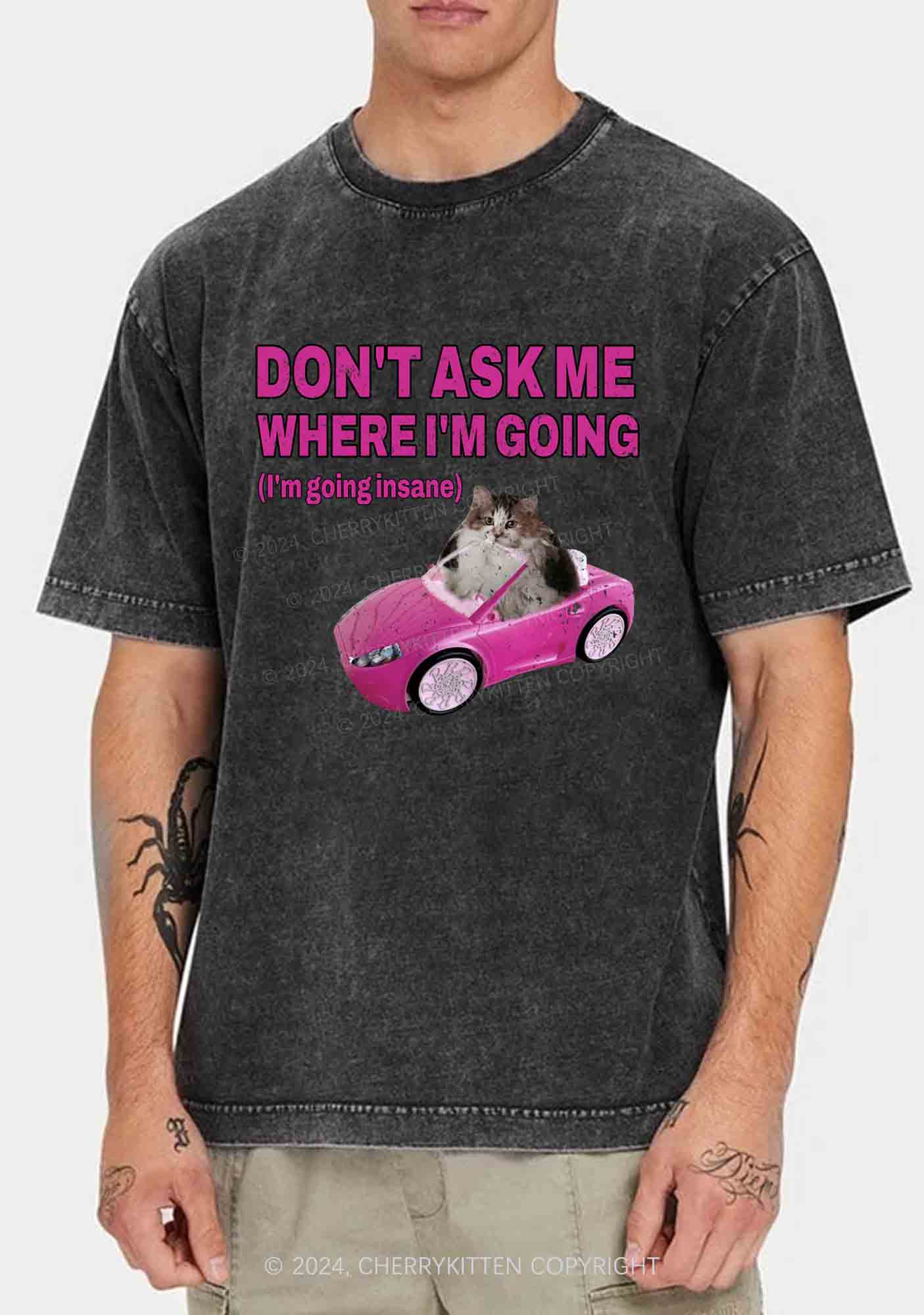 I'm Going Insane Y2K Washed Tee Cherrykitten